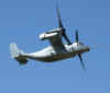 osprey-riat2006.jpg (47097 bytes)