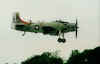 skyraiderbh2001.jpg (46629 bytes)